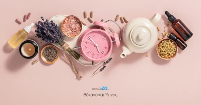 5 βότανα που μπορούν να μάς βοηθήσουν να κοιμηθούμε 5 βότανα που μπορούν να μάς βοηθήσουν να κοιμηθούμε