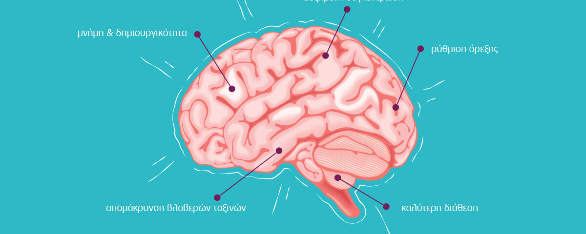 Sleep & Brain Health_Article