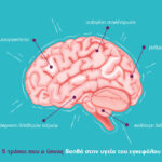 Sleep & Brain Health_Article