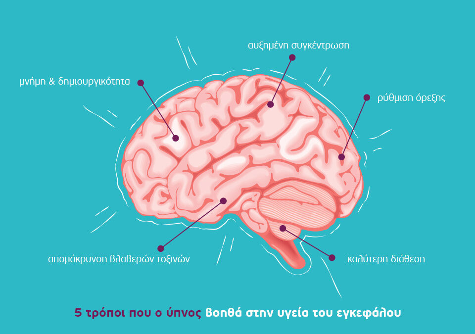 Sleep & Brain Health_Article